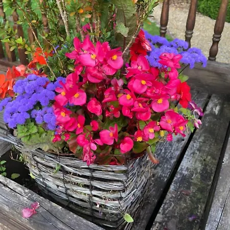 Bed & Breakfast Brookville Manor *